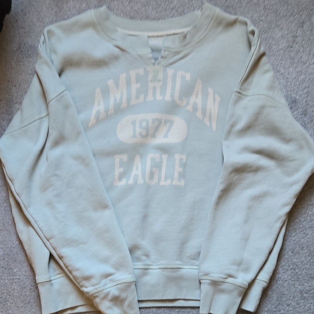 American Eagle Soft Green Sweater